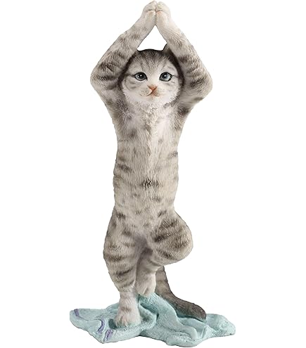 Amazon.com: Veronese Design 4 Inch Grey Tabby Yoga Cat Shoulder
